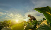 Regenerative Agriculture for Health and Sustainability