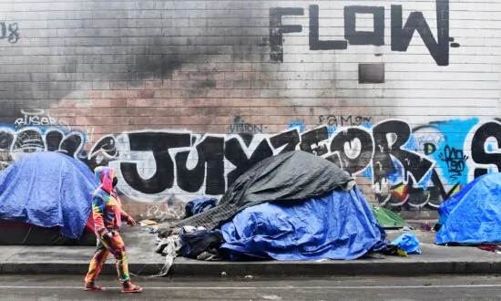 The United States of Social Anarchy