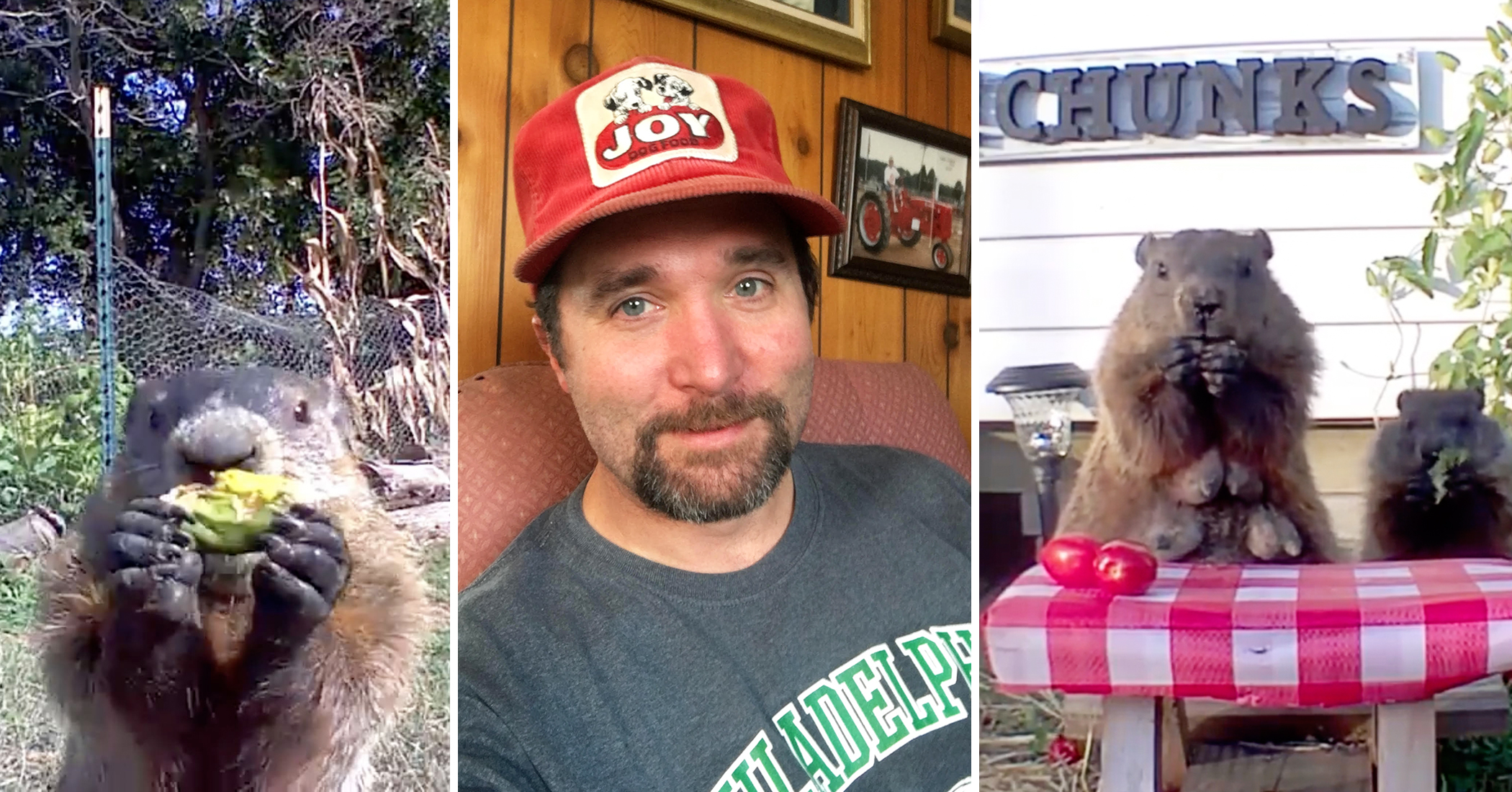 Man Builds a Garden for a Groundhog After Catching Him Eating All of His Crops - Vimarsana News