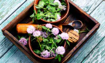 What You Need to Know to Crush the Cold & Flu