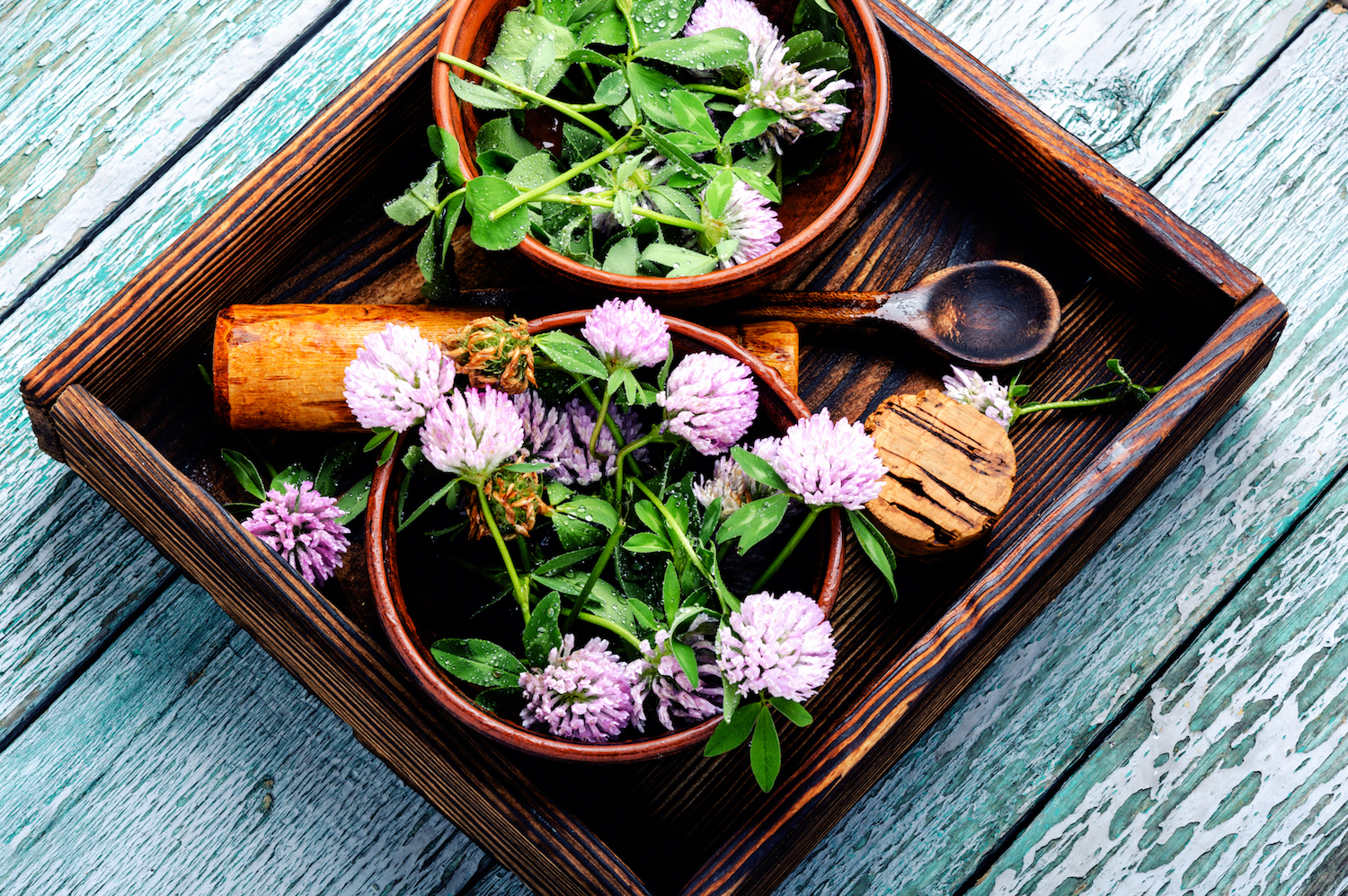 What You Need to Know to Crush the Cold & Flu - Vimarsana News