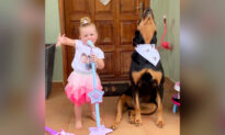 Toddler Copies Her Loyal Rottweiler’s ‘Singing’ and They’ve Formed the Cutest Musical Duo Ever