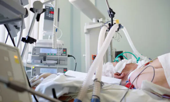 The Story of Jared Kushner and His Ventilators
