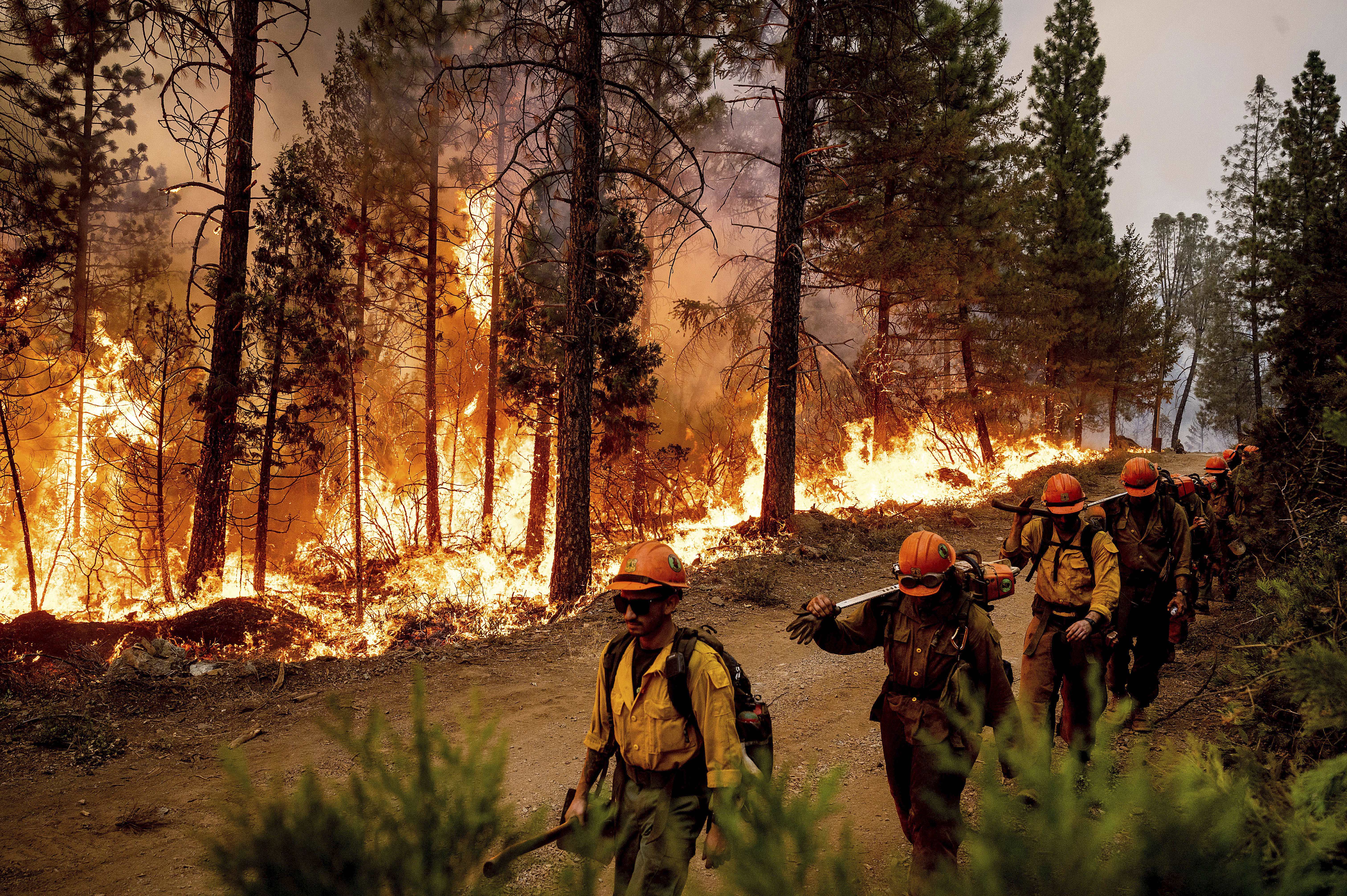 forest fire causes