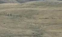 Cease-Fire Holds Between Armenia and Azerbaijan