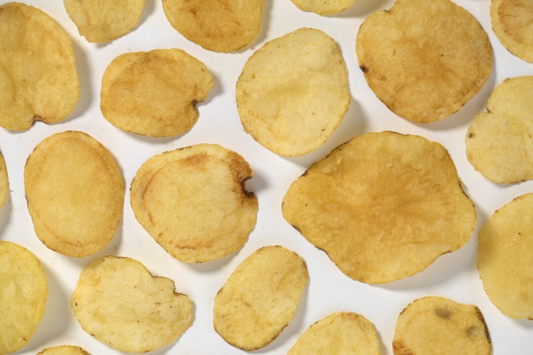 Cricket chips come to Australian schools as scientists urge the next generation to embrace shifting global food demands. (Dan Kitwood/Getty Images)