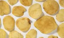 1,000 Australian Schools Introduce ‘Eco-Friendly’ Chips Made From Edible Insects