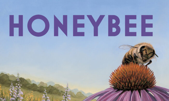 Honeybee 1920x1080 700x420 