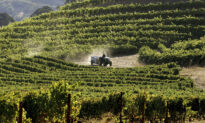New Wine Project Rekindles Debate on IDA Reform in Orange County