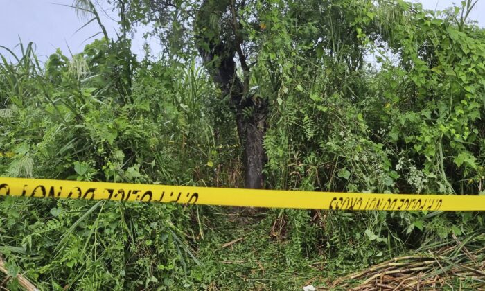A crime scene tape cordons off a tree, where the bodies of two teenage girls were found hanging after they were allegedly raped, in Lakhimpur Kheri district of Uttar Pradesh state in India, on Sept. 15, 2022. (AP Photo)