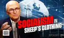 ESG Is a Socialist Plot, Disguised as the Free Market: Andy Puzder
