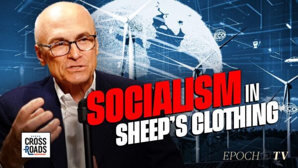 ESG Is a Socialist Plot, Disguised as the Free Market: Andy Puzder