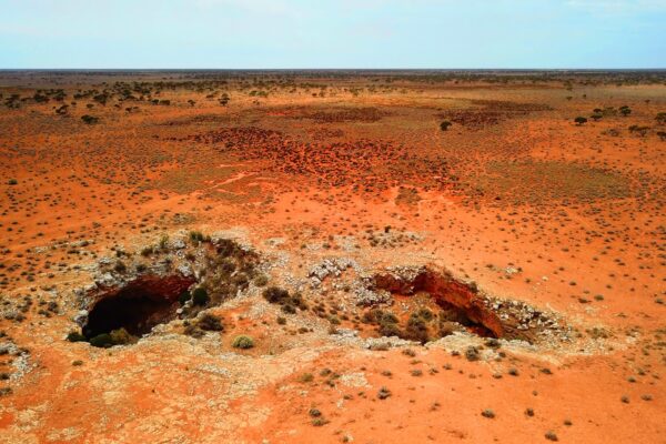 Epoch Times Photo