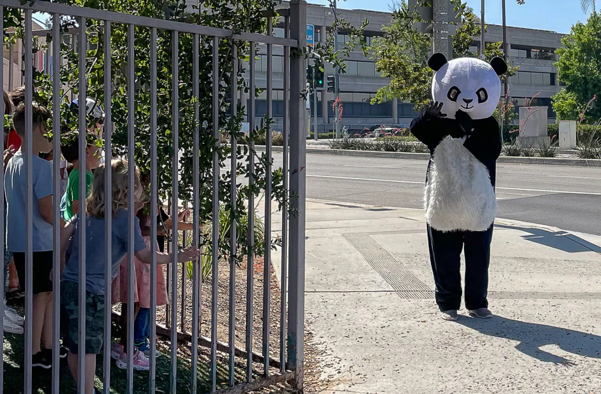 (Courtesy of "Panda Man")