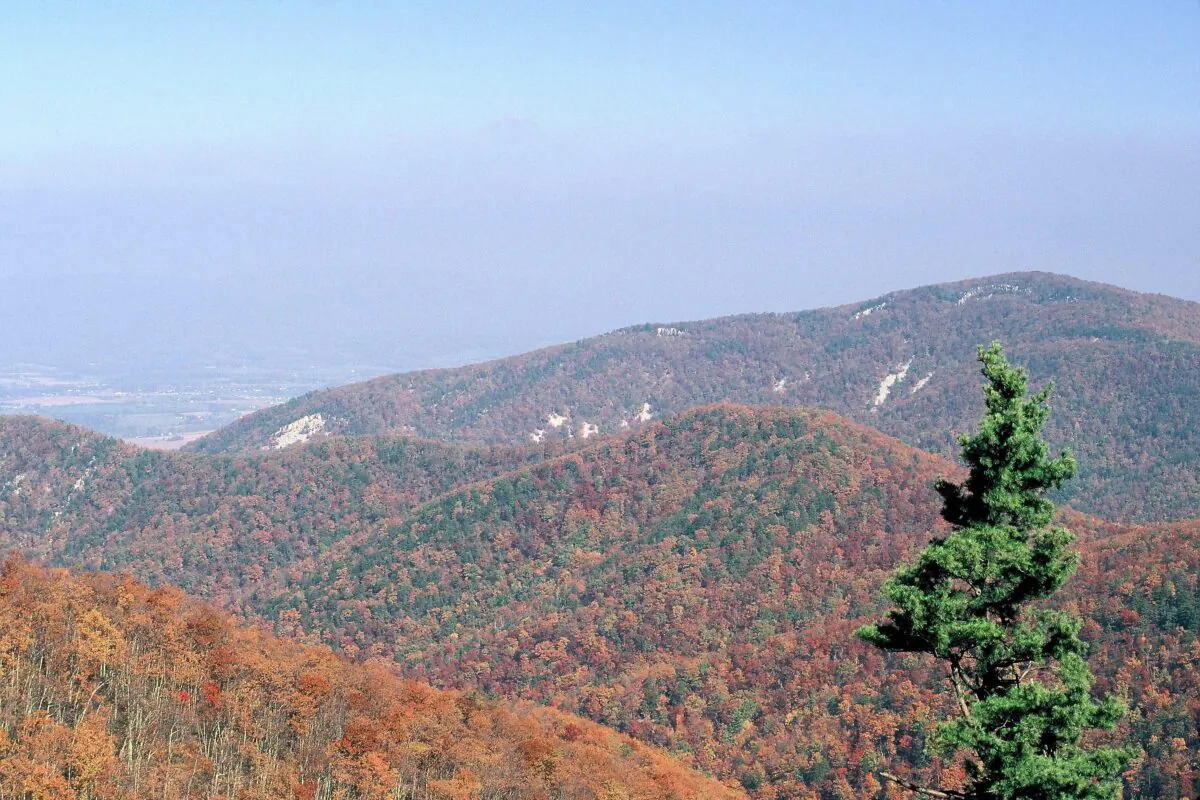 The Rocky Mountains. (Shenandoah National Park from Virginia/Flickr, Public Domain)