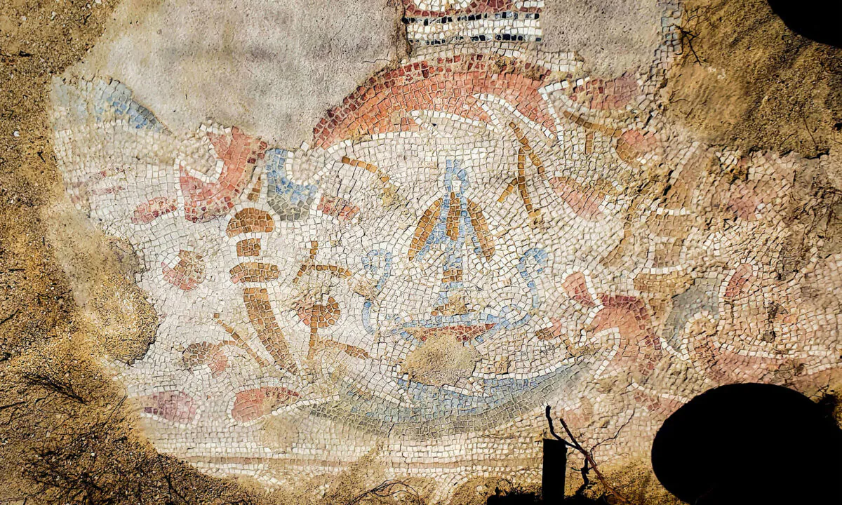 (Courtesy of Gilad Stern/Israel Antiquities Authority)