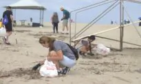 More Than 11,000 Pounds of Trash Picked up in Orange County Event