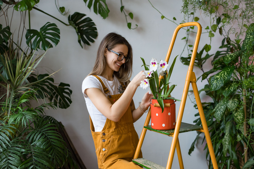 The best indoor plant is one that is attractive, easy to maintain, and beneficial for the health and wellness of everyone around it. (DimaBerlin/Shutterstock)