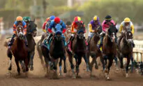 Horse Dies From Training Injury at Santa Anita Park