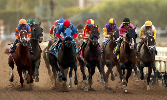 The field compete during the Breeders's Cup Classic race at Santa Anita Park in Arcadia, Calif., on Nov. 02, 2019. (Sean M. Haffey/Getty Images)