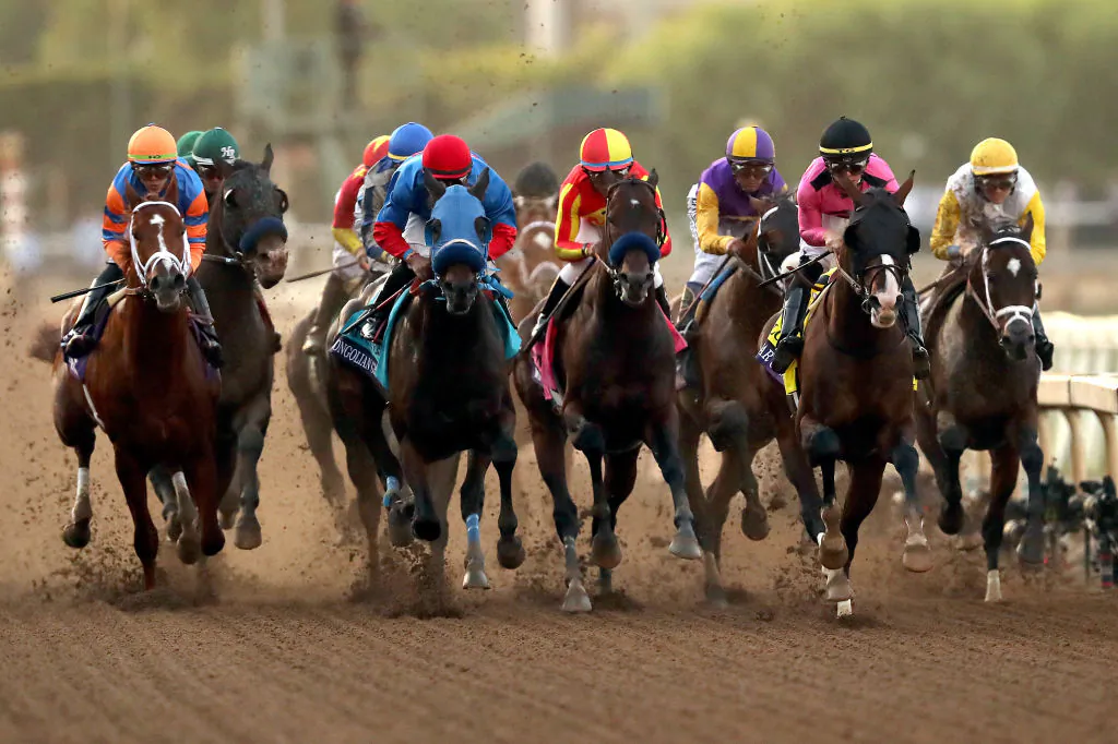 The field compete during the Breeders's Cup Classic race at Santa Anita Park in Arcadia, Calif., on Nov. 02, 2019. (Sean M. Haffey/Getty Images)