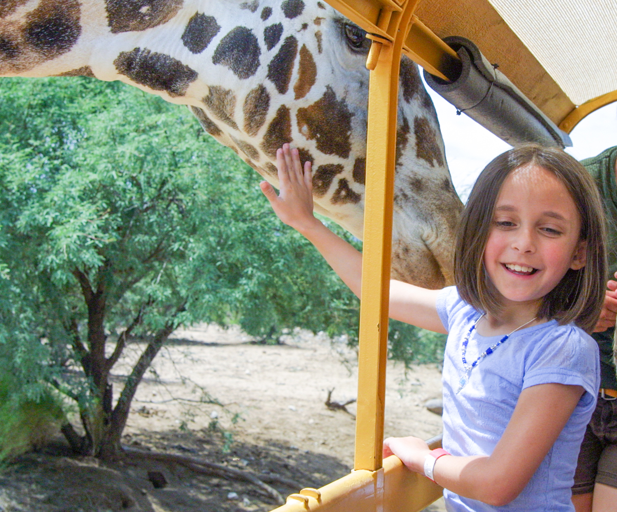 Our daughter getting a nuzzle from a giraffe at the Out of Africa Wildlife Preserve