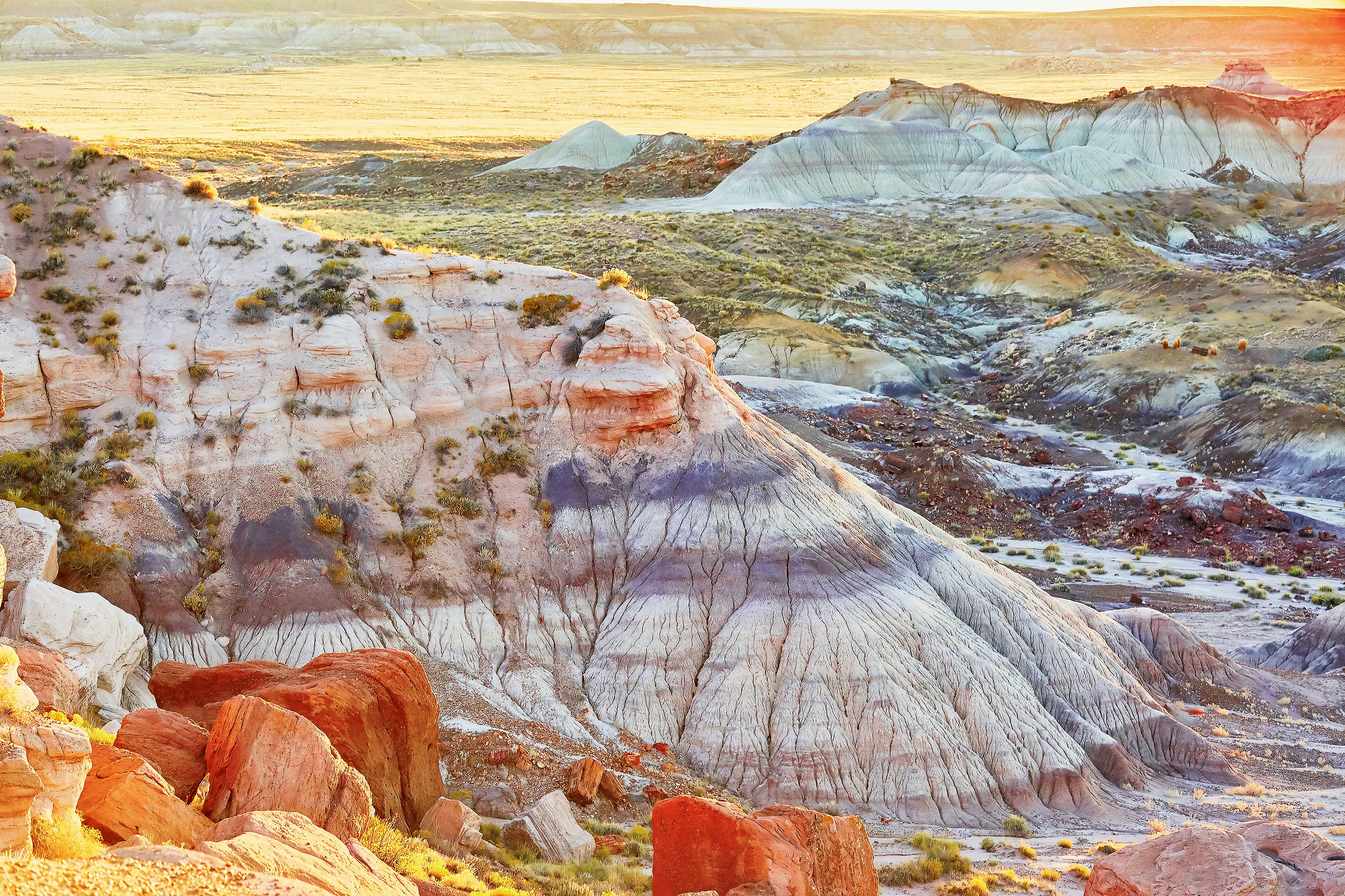 Scenic view of a landscape in the Painted Desert national park in Arizona, USA.