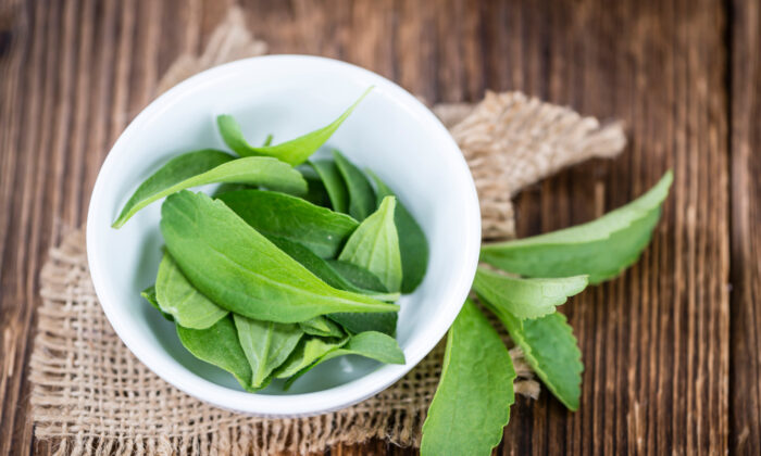 Stevia May Kill Lyme Disease Pathogens: Study