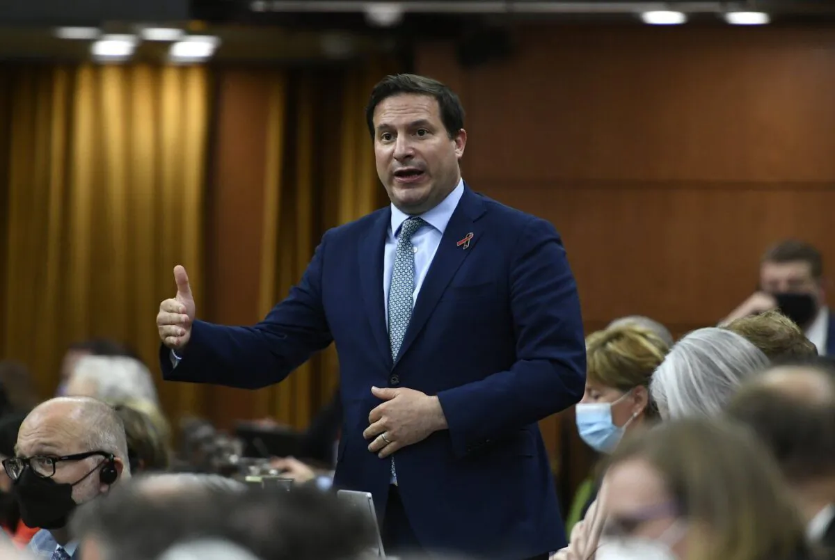 Minister of Public Safety Marco Mendicino rises in the House of Commons on Parliament Hill in Ottawa on May 31, 2022. (The Canadian Press/Justin Tang)