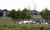 3 Killed in Colorado Midair Collision Identified
