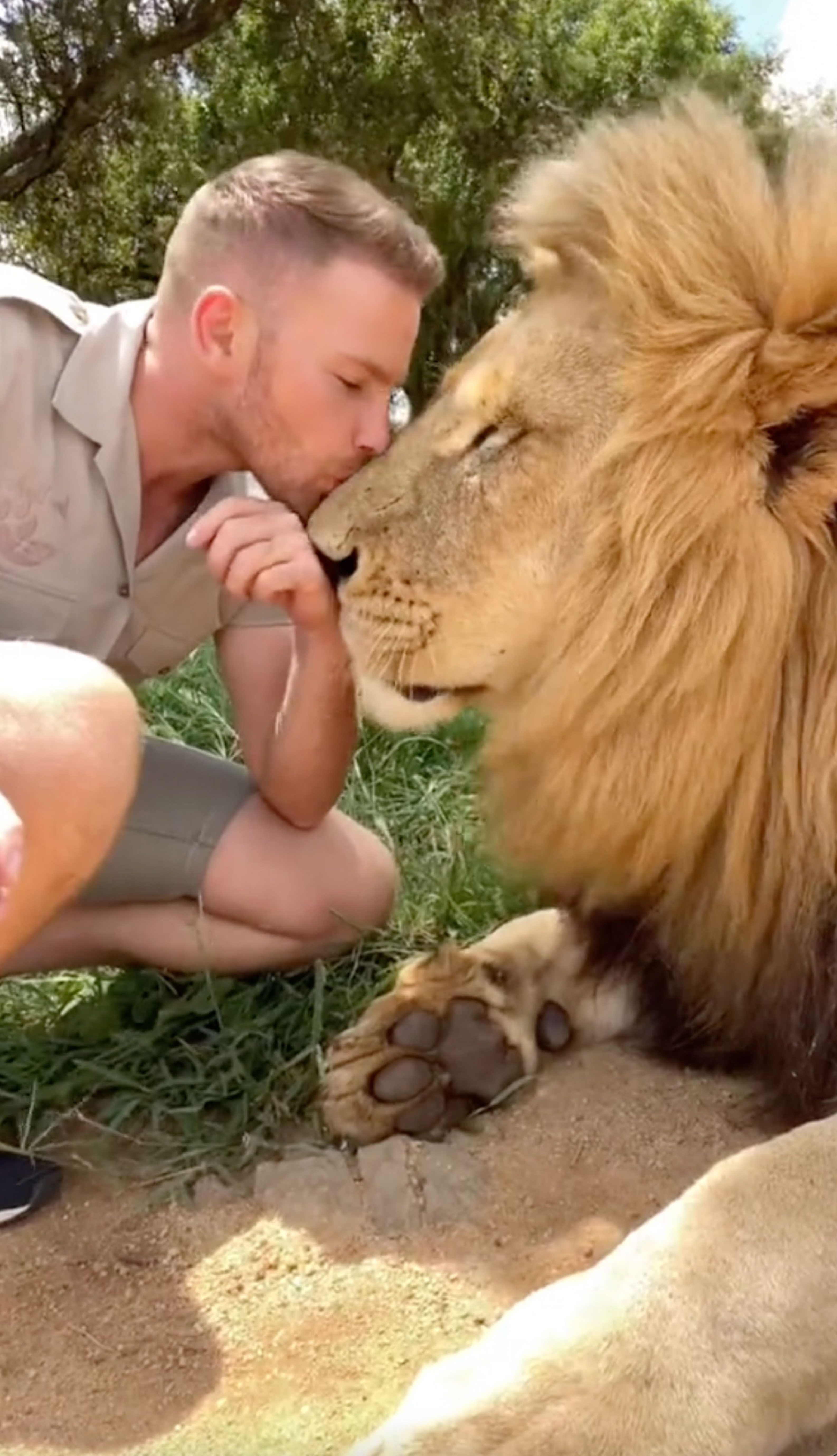 El hombre se convierte en el mejor amigo de los leones y los guepardos después de la muerte de su madre por cáncer