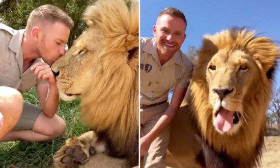 Man Becomes Best Friends With Lions and Cheetahs Following Mom’s Death From Cancer
