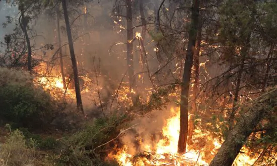 Helicopter Crashes En Route to Turkish Wildfire; 2 Killed
