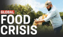A List Of 33 Things We Know About The Coming Food Shortages | Facts Matter