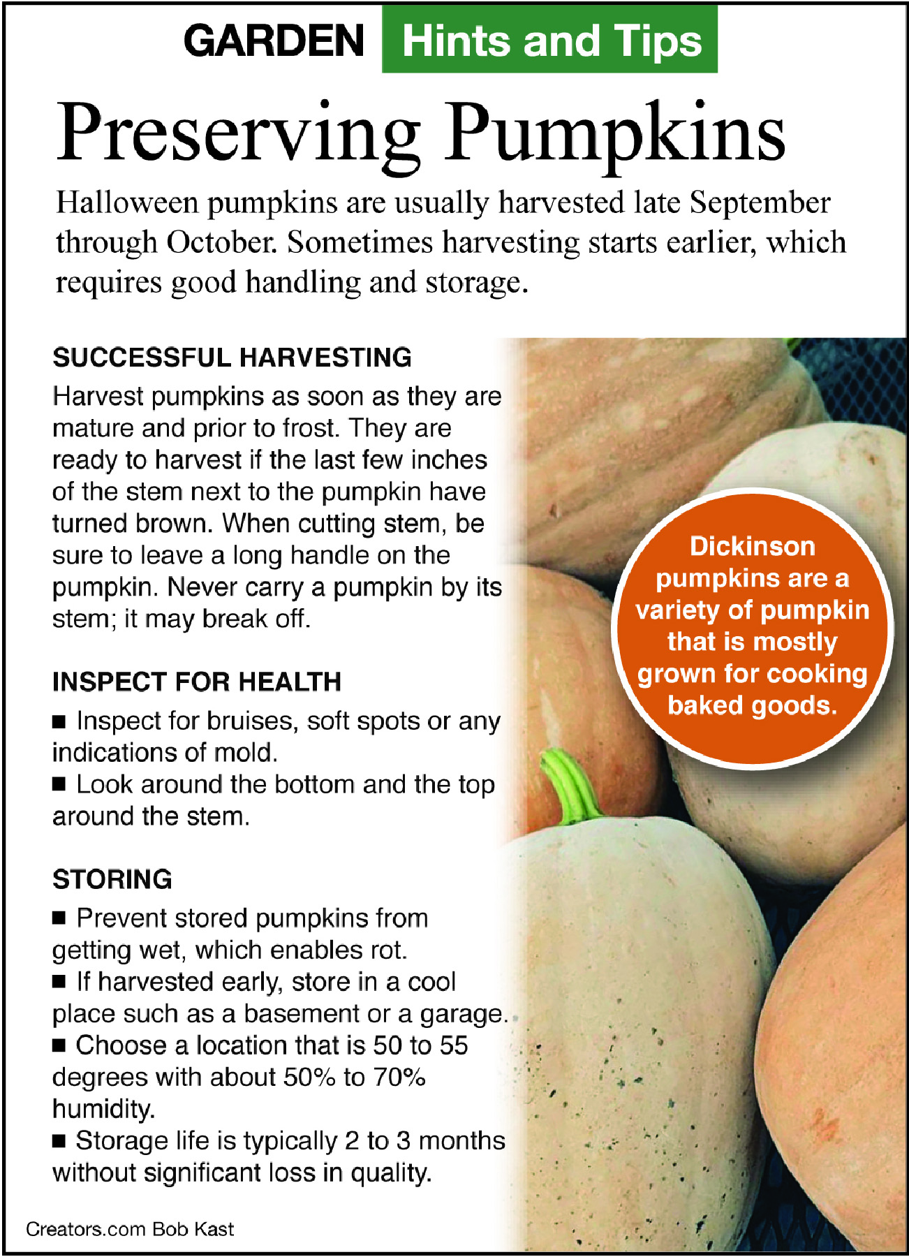 preserving pumpkin tip sheet