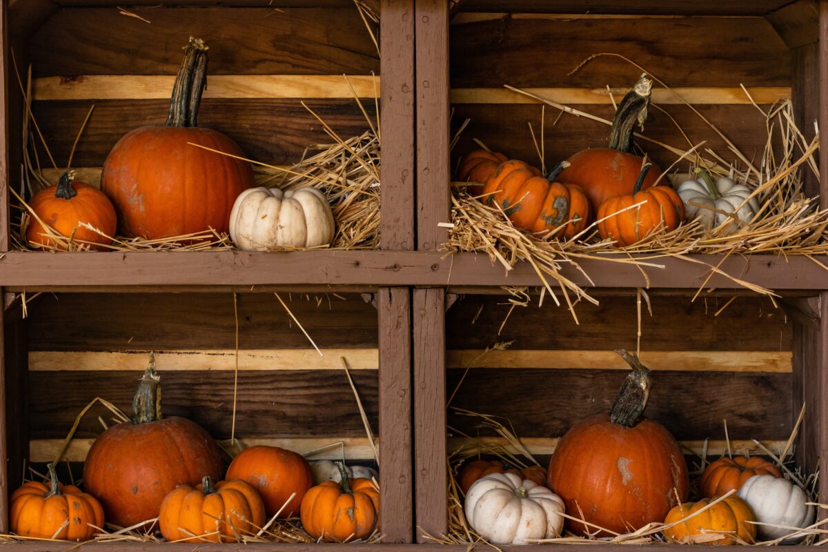 Pumpkins can be stored in a cool place like a basement or garage. (Mary Prentice/Shutterstock)