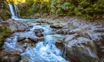 The Way of Water