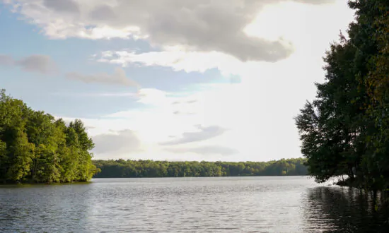 Water Levels in Middletown’s Main Reservoirs Rise to 84 Percent Full