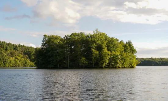 Middletown Mulls Comprehensive Algae Control to Enhance Water Quality