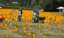 Taking the Kids: To a Fall Festival