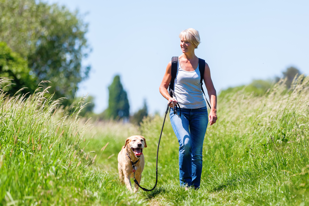 Mature,Woman,With,Rucksack,Hiking,With,A,Dog,In,The
