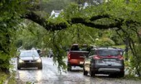 Fiona Makes Landfall in Nova Scotia, State of Emergency Declared in Cape Breton