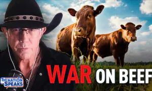 Texas Slim: From Fake Meat to Edible Insects, Truth Behind the War on Beef