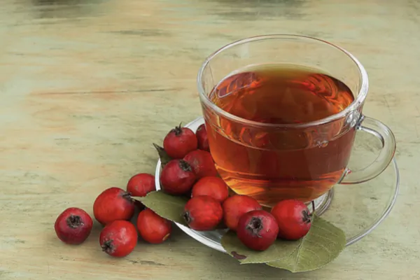 Is Hawthorn Nature’s Quiet Cardiologist?