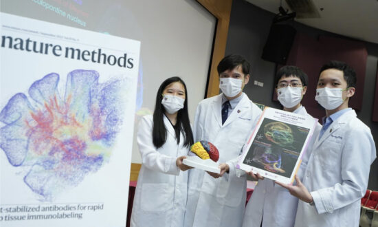 CUHK Develops New Technique to Deeply Visualize 3D Structure of Brain’s Biological Tissue