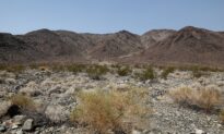 Meet the California Professor Who Hiked 500 Miles Across the Mojave Desert