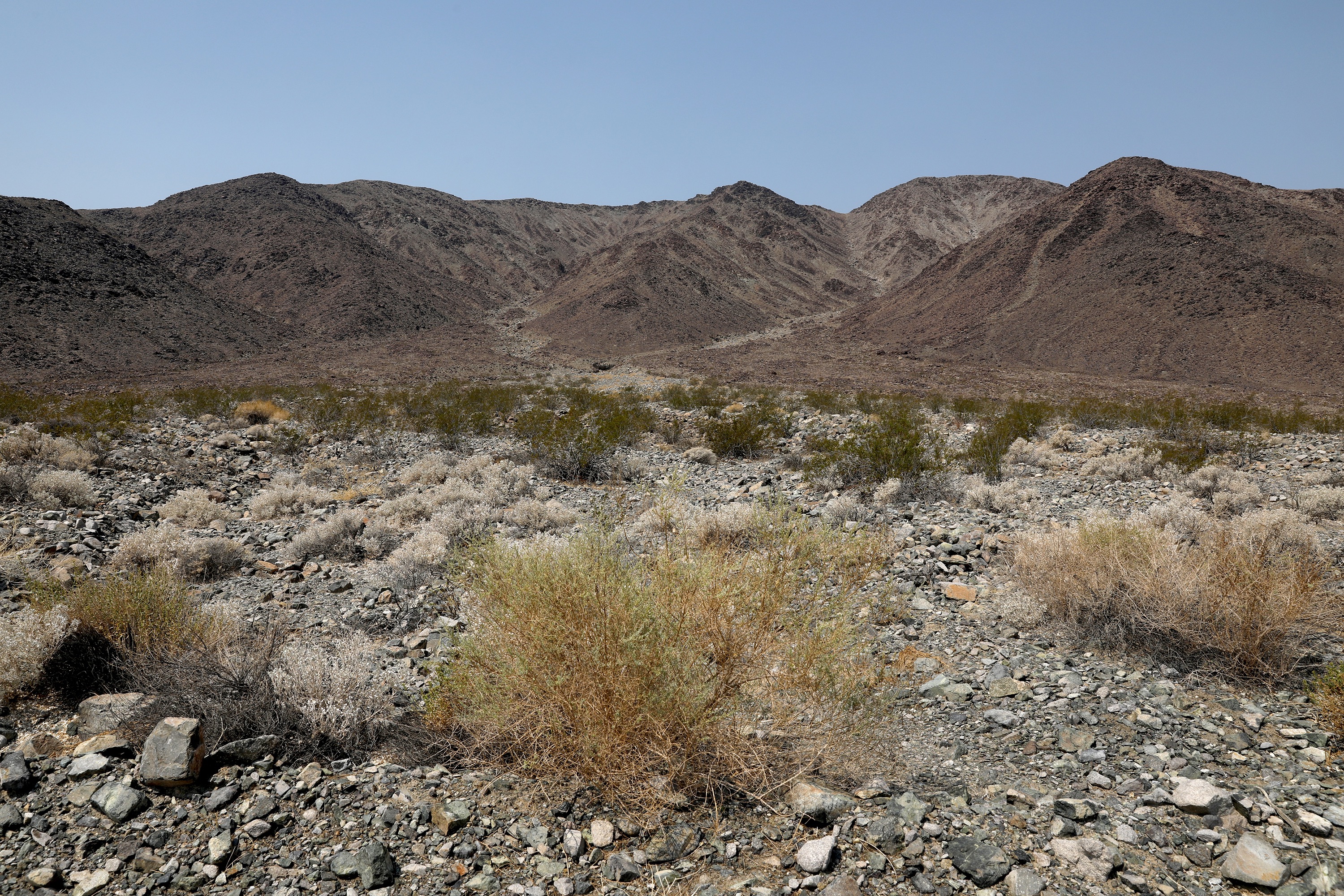 Meet the California Professor Who Hiked 500 Miles Across the Mojave Desert - Vimarsana News