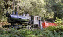 Historic ‘Skunk Train’ Offers Rides Through the Redwoods