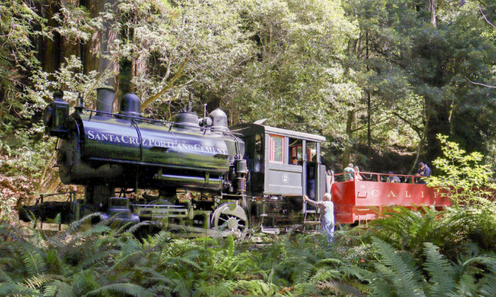 Historic Skunk Train Offers Rides Through the Redwoods The