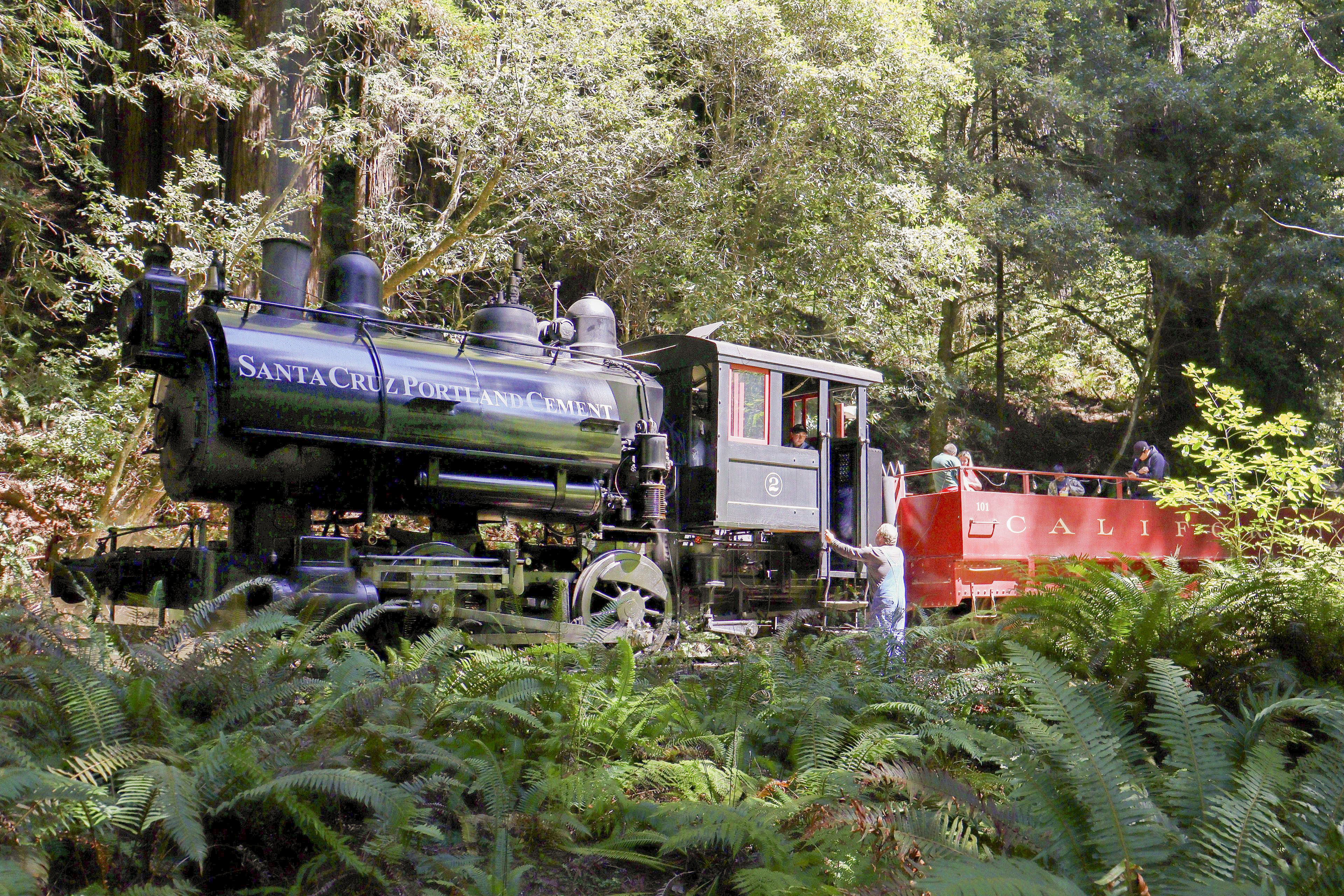 Historic Skunk Train Offers Rides Through the Redwoods The